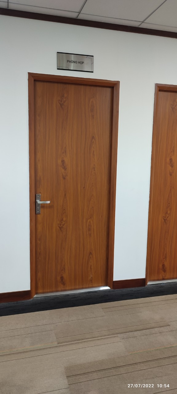 Cửa thép vân gỗ 1 cánh SB-TVG 01