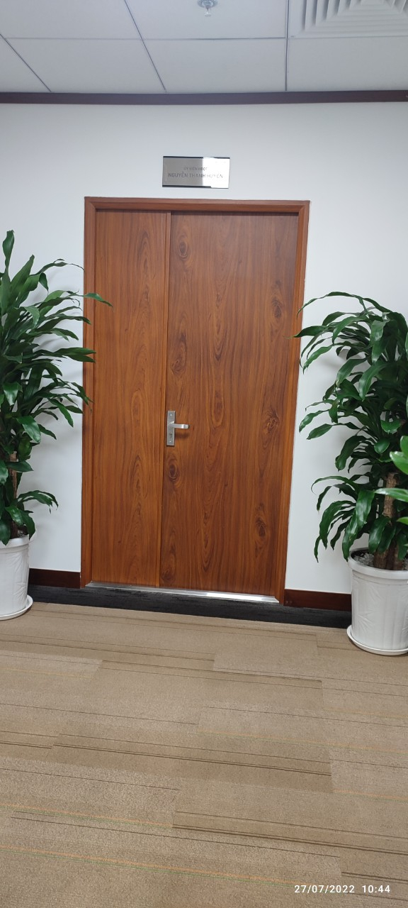 Cửa thép vân gỗ 2 cánh lệch SB-TVG 08